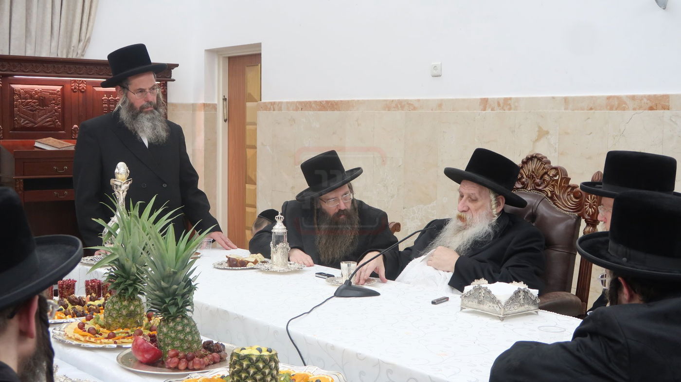 ט"ו בשבט בחצה"ק טשארנאביל 