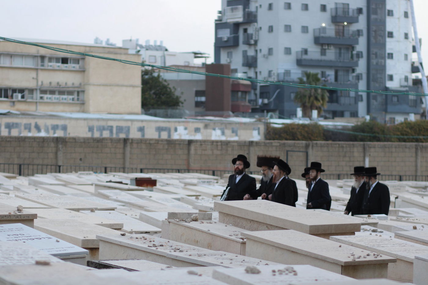 האדמו"ר מויז'ניץ לונדון בבית העלמין בויז'ניץ