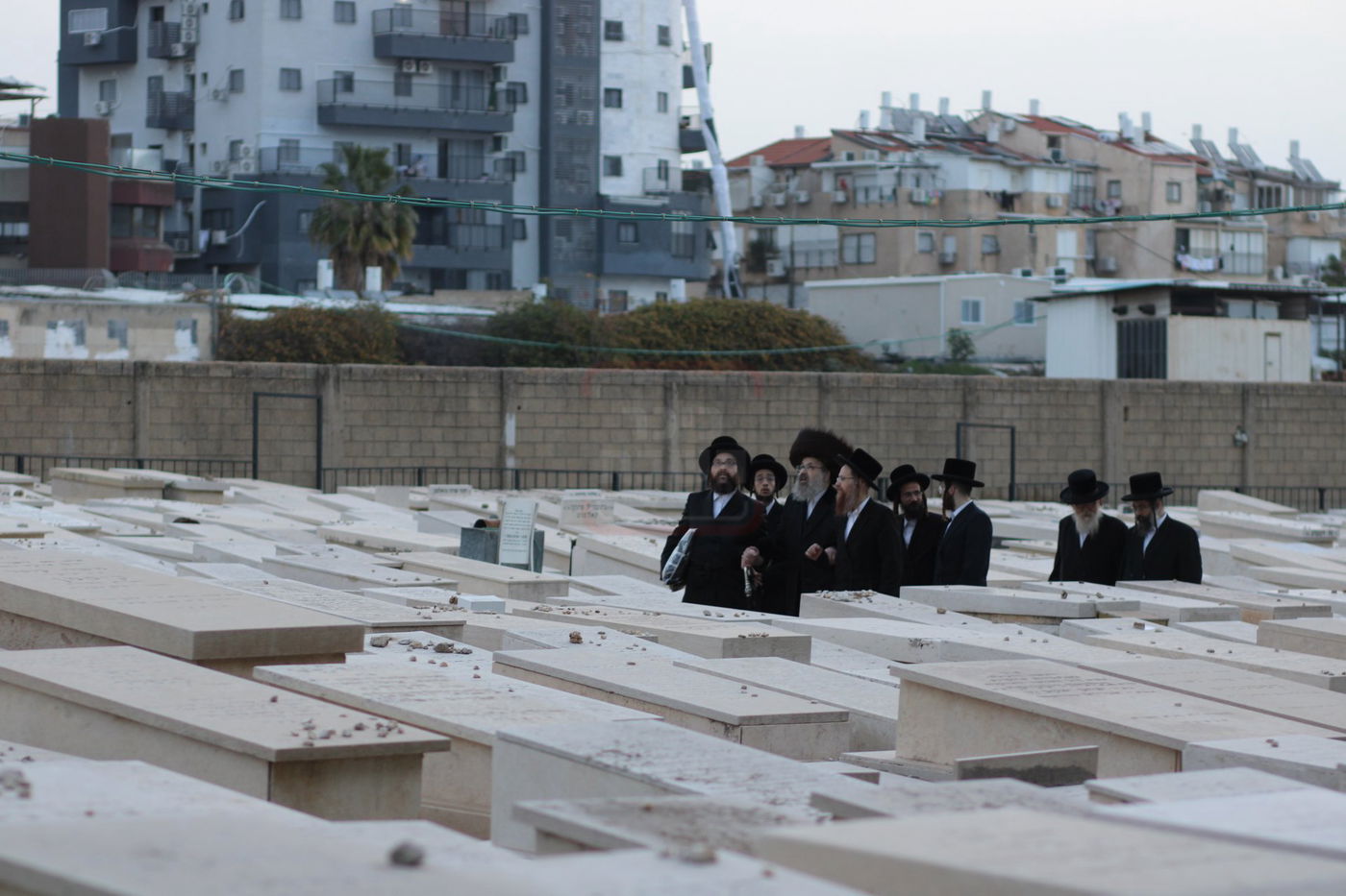 האדמו"ר מויז'ניץ לונדון בבית העלמין בויז'ניץ