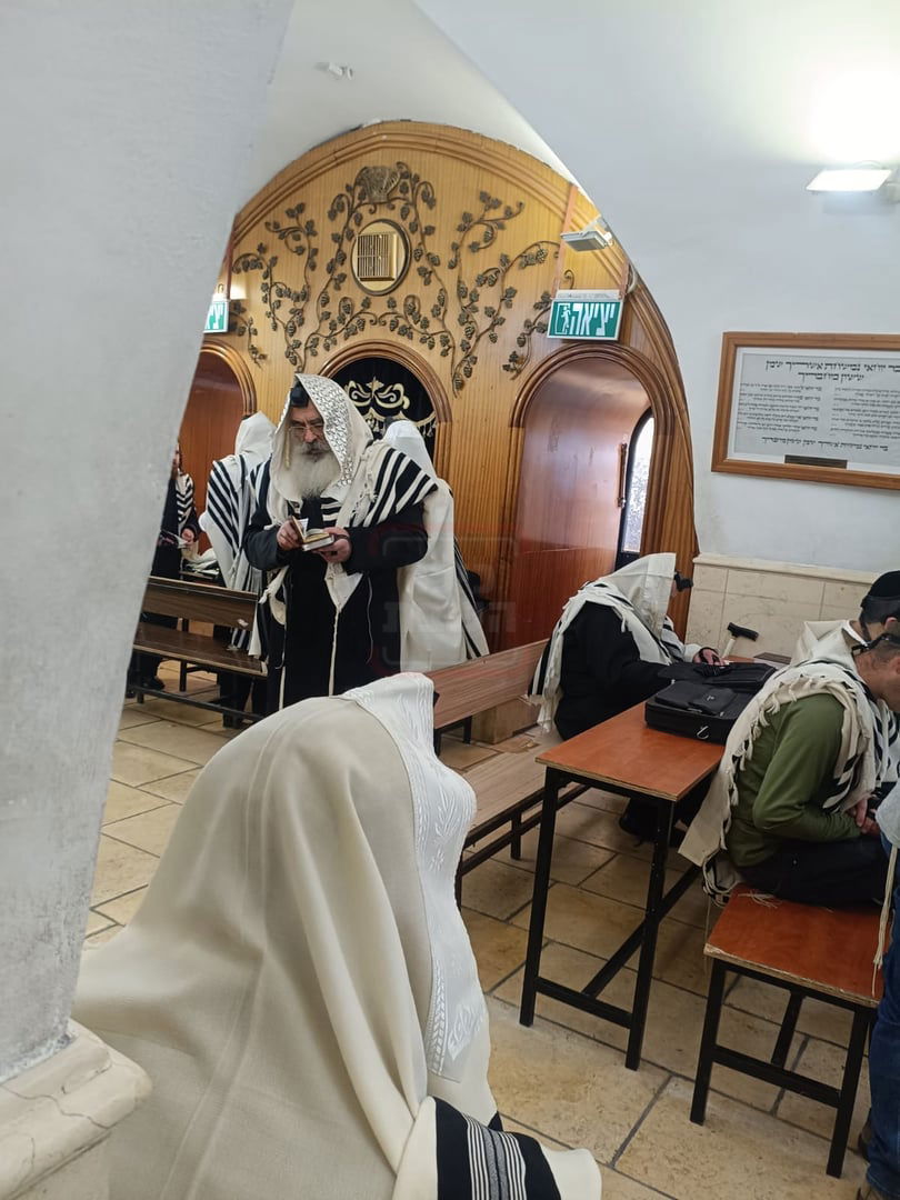 האדמו"ר מדושינסקיא במירון