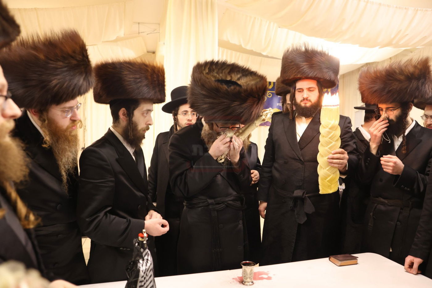 האדמו"ר מאמונת ישראל בהבדלה