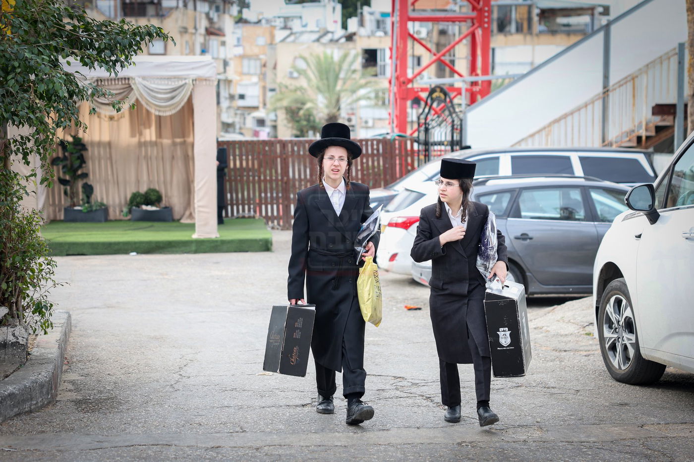 מעמד כבוד התורה בערלוי