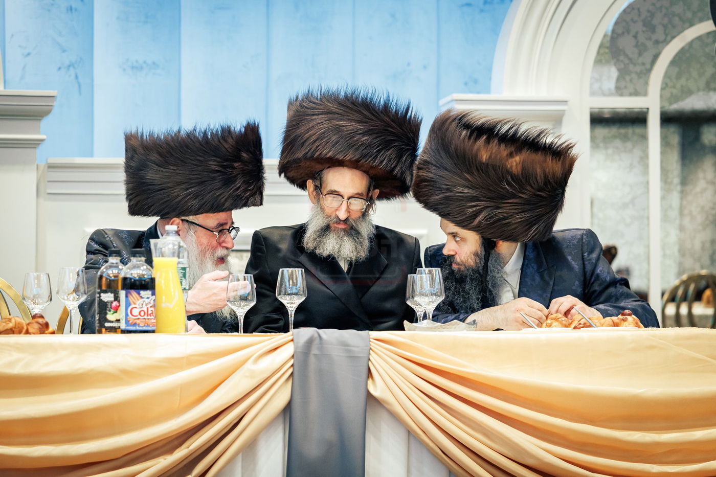 דינר לטובת מוסדות סאטמר בורו פארק