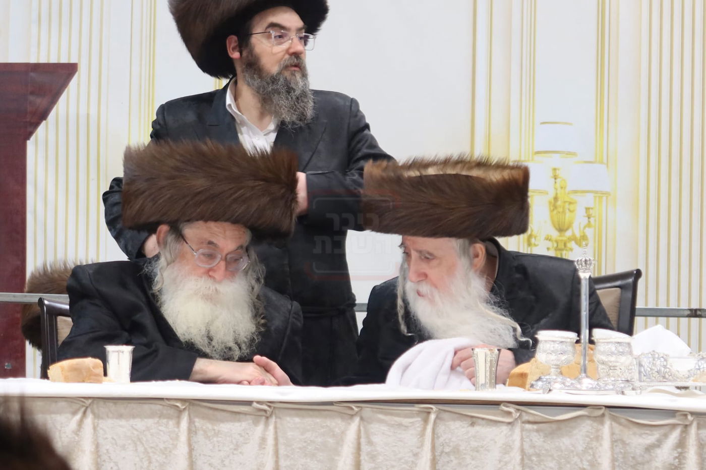 חתן מאל בחצה"ק מכנובקא בעלזא