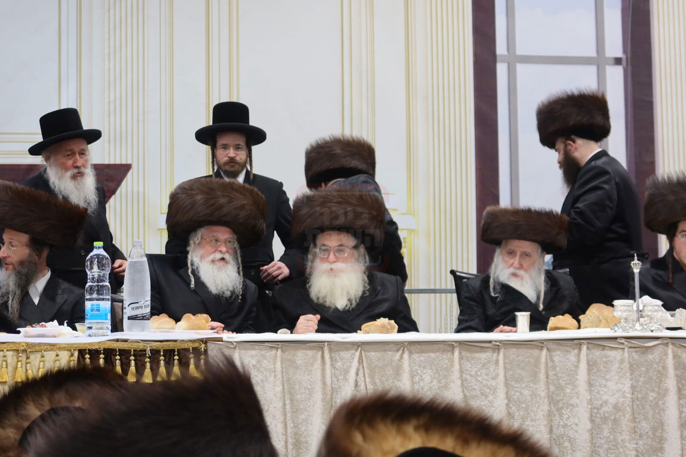 חתן מאל בחצה"ק מכנובקא בעלזא