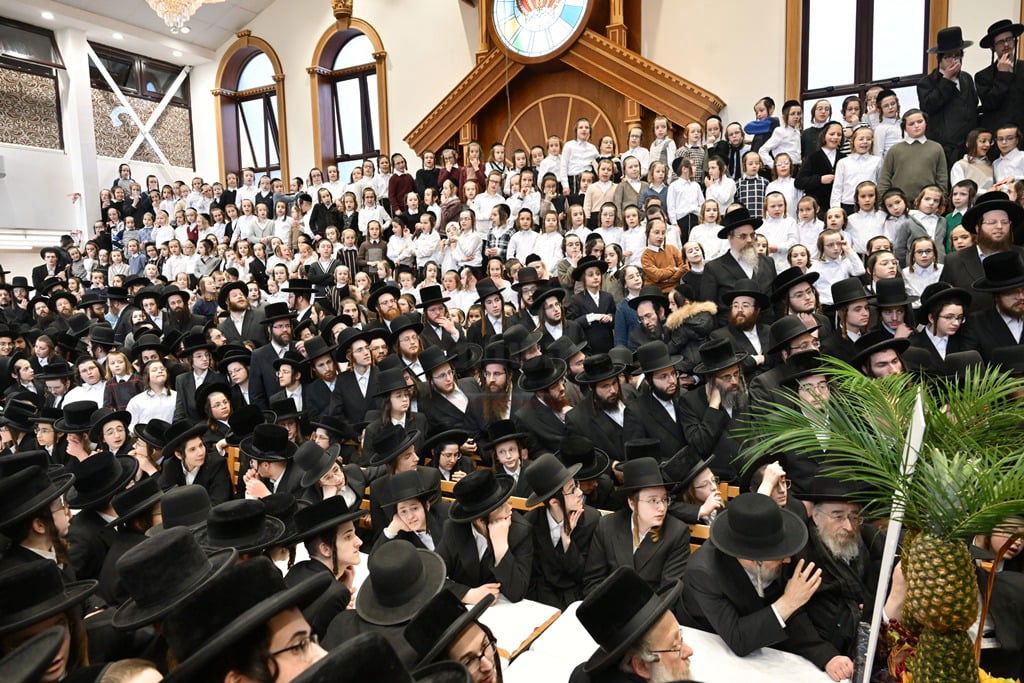 האדמו"ר מסאטמר בביקור הוד במאנשטעסער