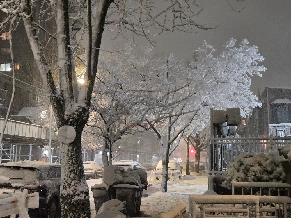 מראות השלג בארה"ב  - אדר תשפ"ו