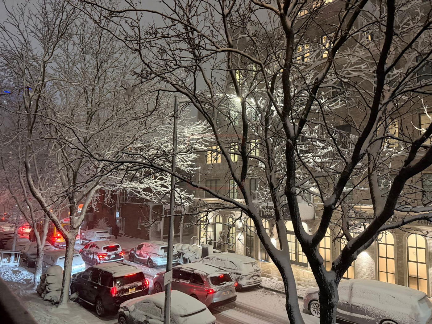 מראות השלג בארה"ב  - אדר תשפ"ו