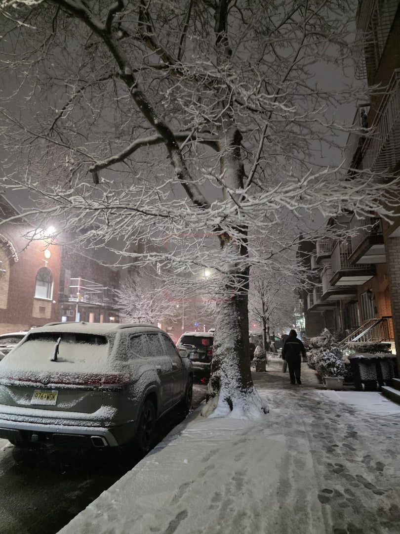 מראות השלג בארה"ב  - אדר תשפ"ו