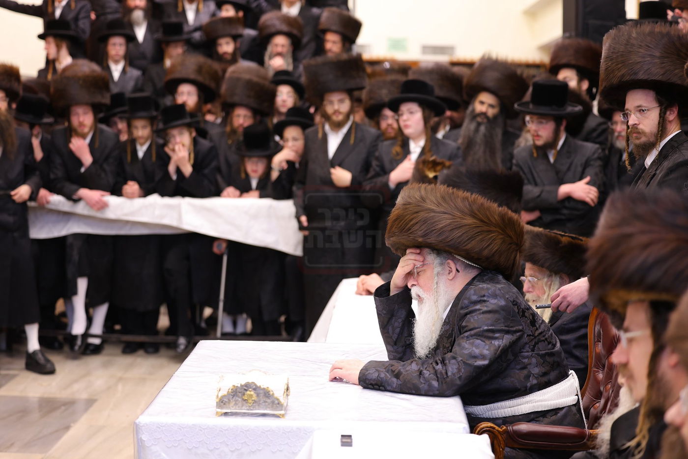 מוצאי שבתא דריגלא בנדבורנה ירושלים