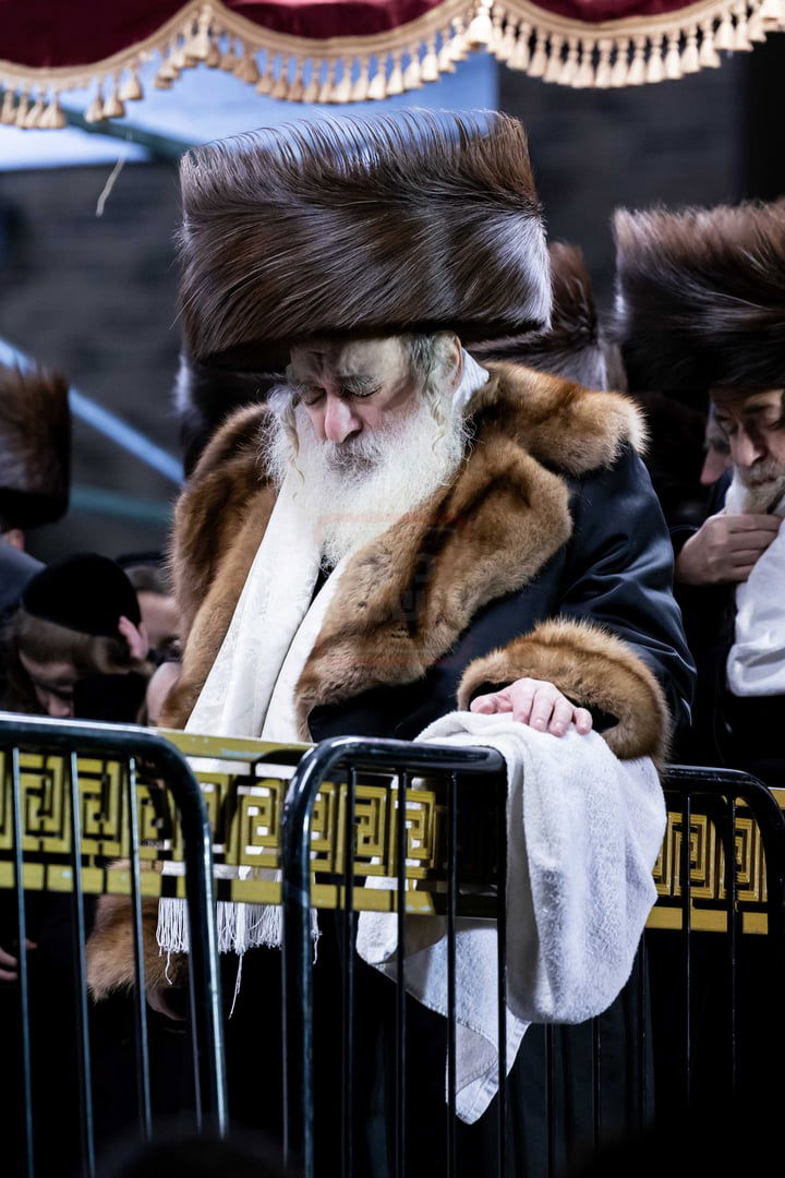 שמחת בית קראלי - סטאניסלאוו 