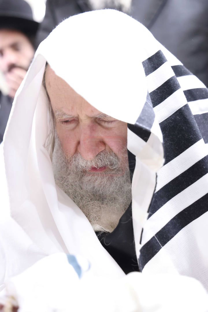 שמחת הברית בחצרות אמשינוב - קרעטשניף