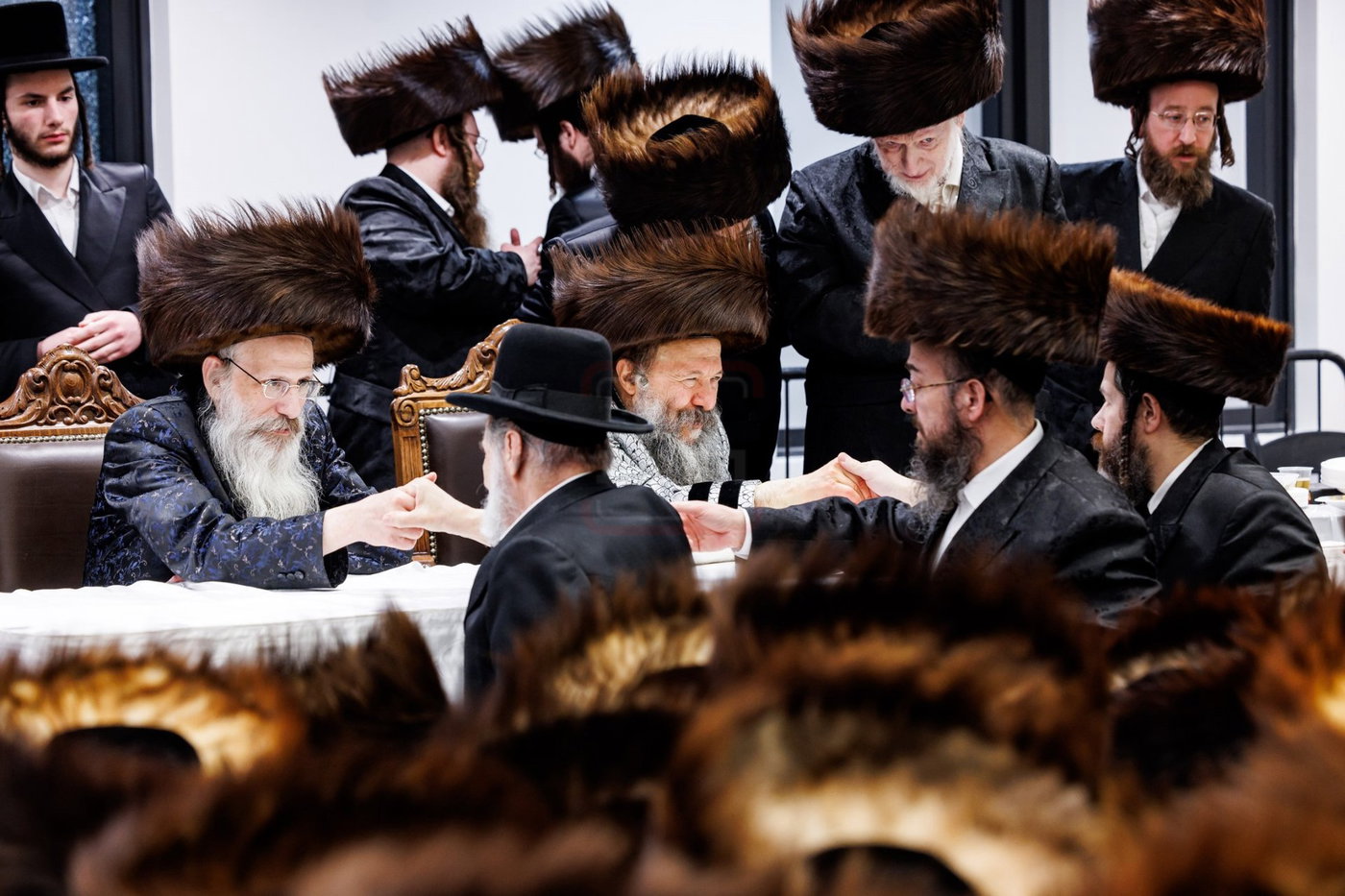 הילולא קדישא בבאבוב 45