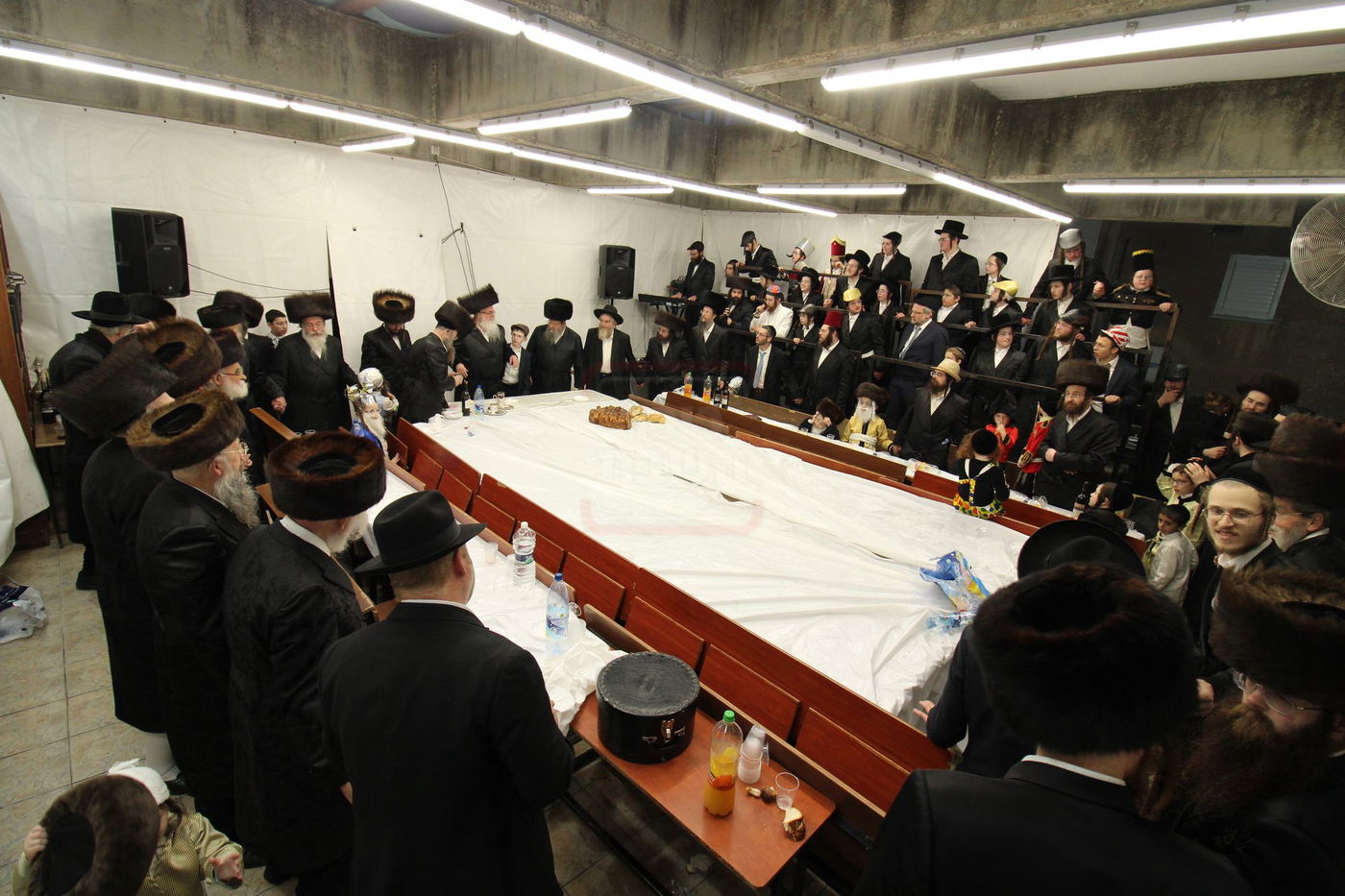 פורים בחצה"ק ביאלה רמת אהרן