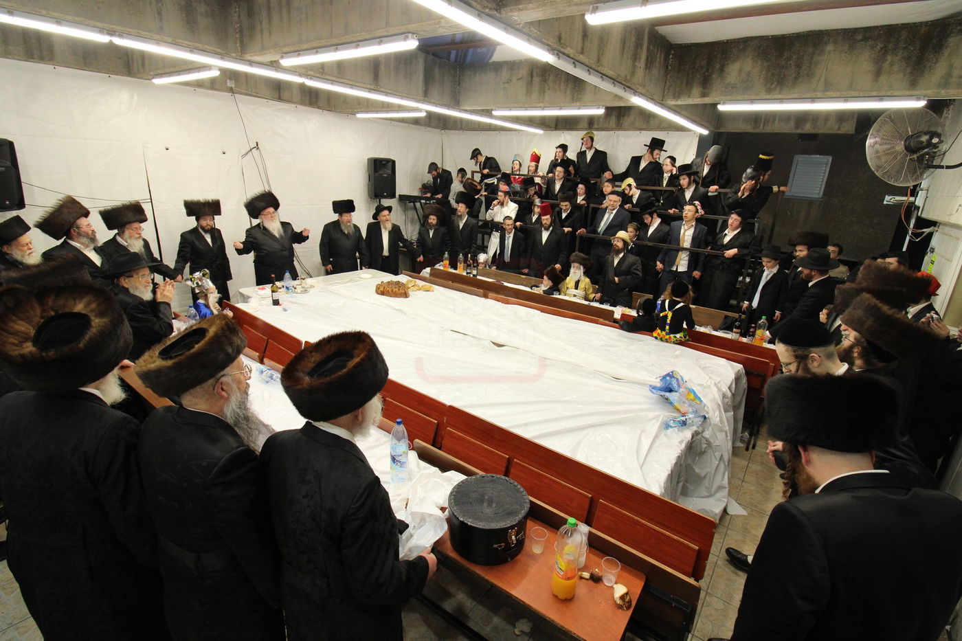 פורים בחצה"ק ביאלה רמת אהרן