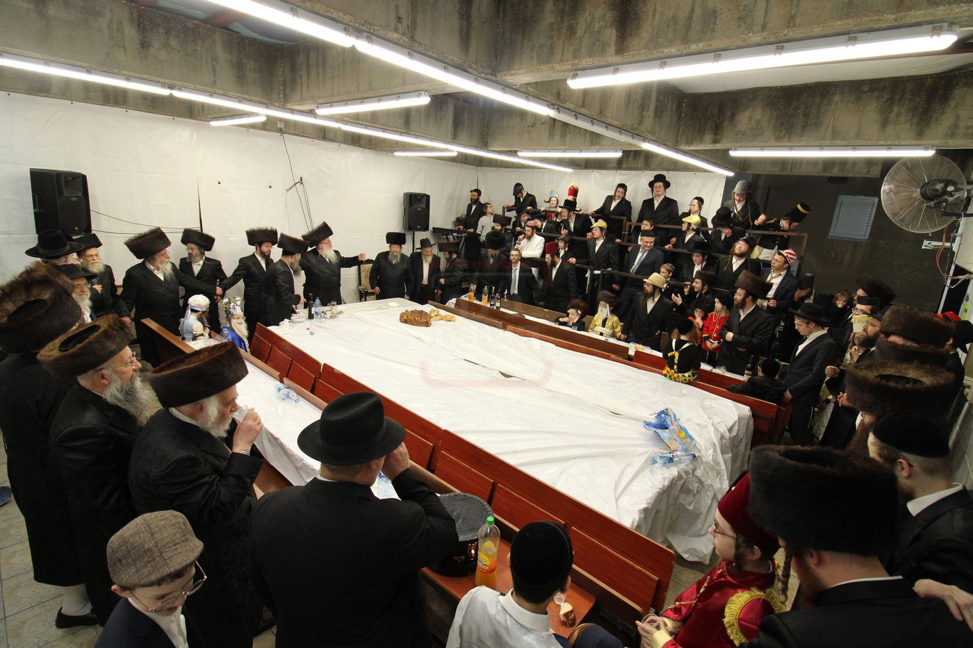 פורים בחצה"ק ביאלה רמת אהרן