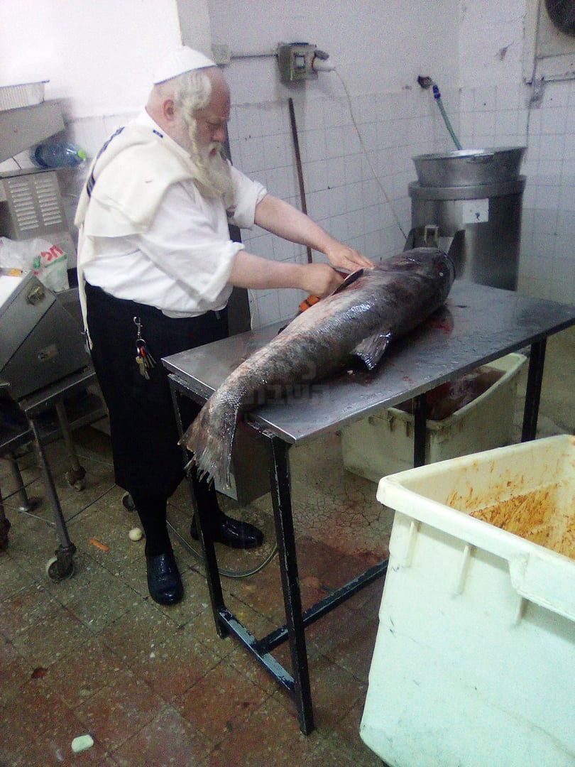 מפורים ועד המלחמה | 'זופניק בכיכר' עם כל התמונות, הנייעס והחשיפות של השבוע