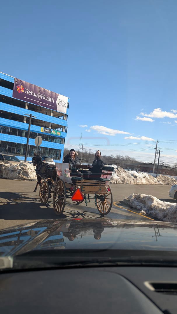 מפורים ועד המלחמה | 'זופניק בכיכר' עם כל התמונות, הנייעס והחשיפות של השבוע