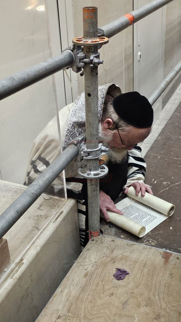 מפורים ועד המלחמה | 'זופניק בכיכר' עם כל התמונות, הנייעס והחשיפות של השבוע