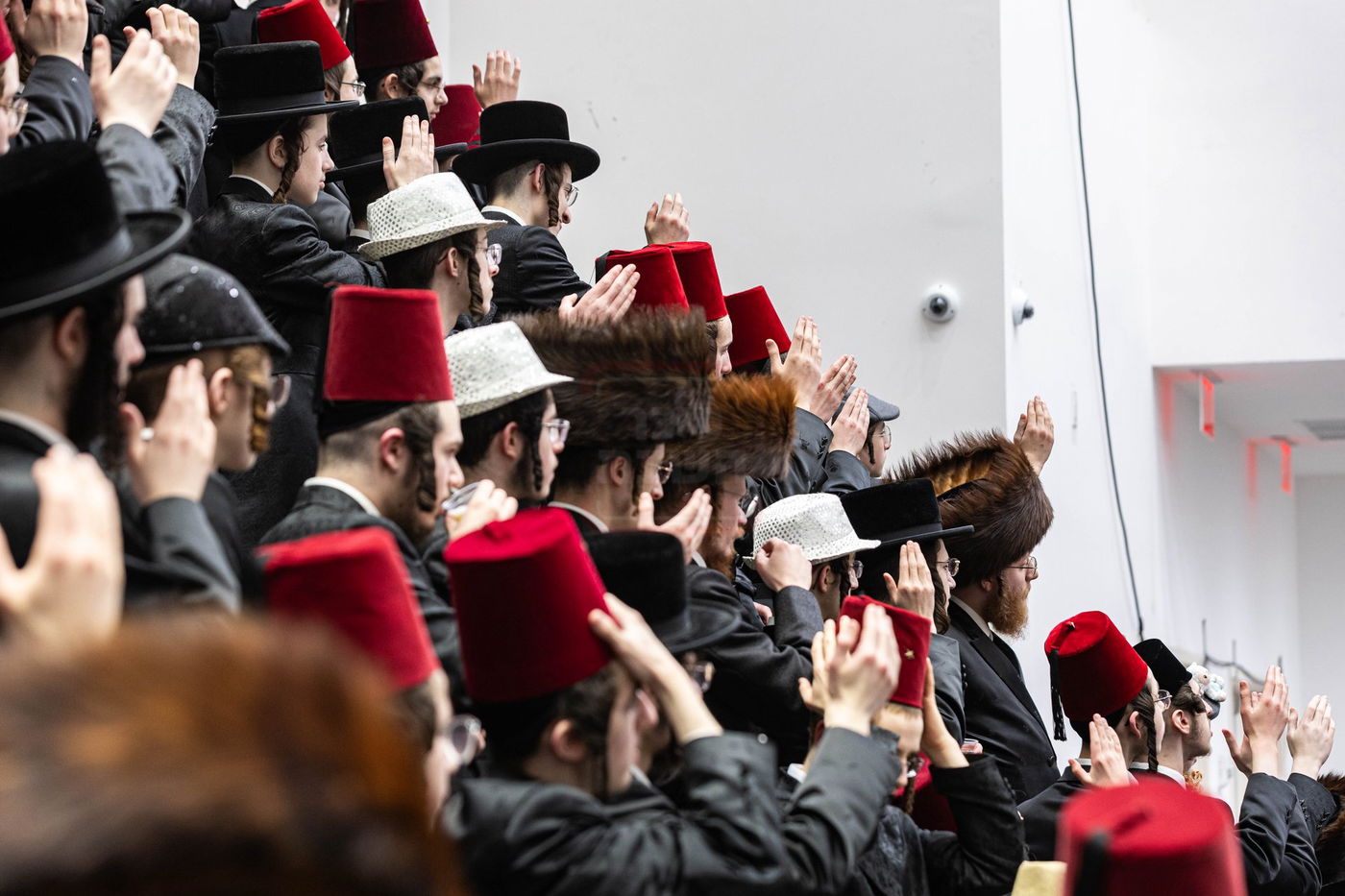 פורים בחצה"ק באבוב 45