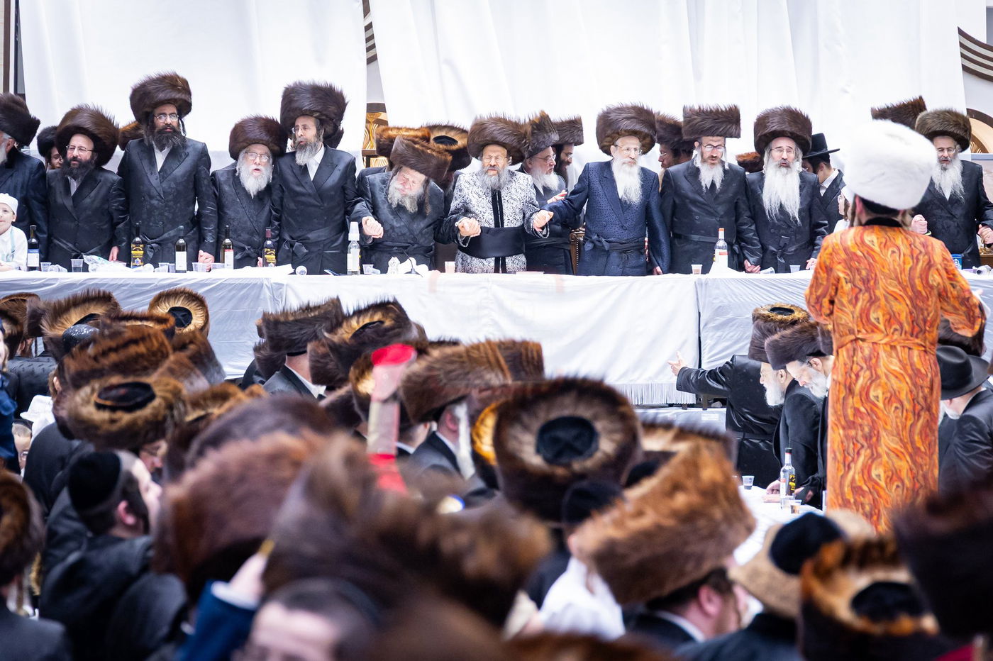 פורים בחצה"ק באבוב 45