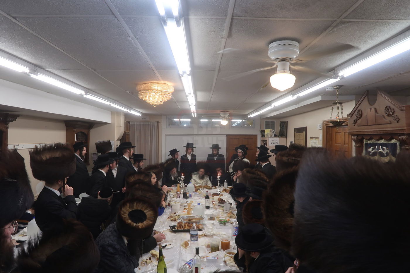 פורים בחצה"ק קרעטשניף סיגעט ווילאמסבורג