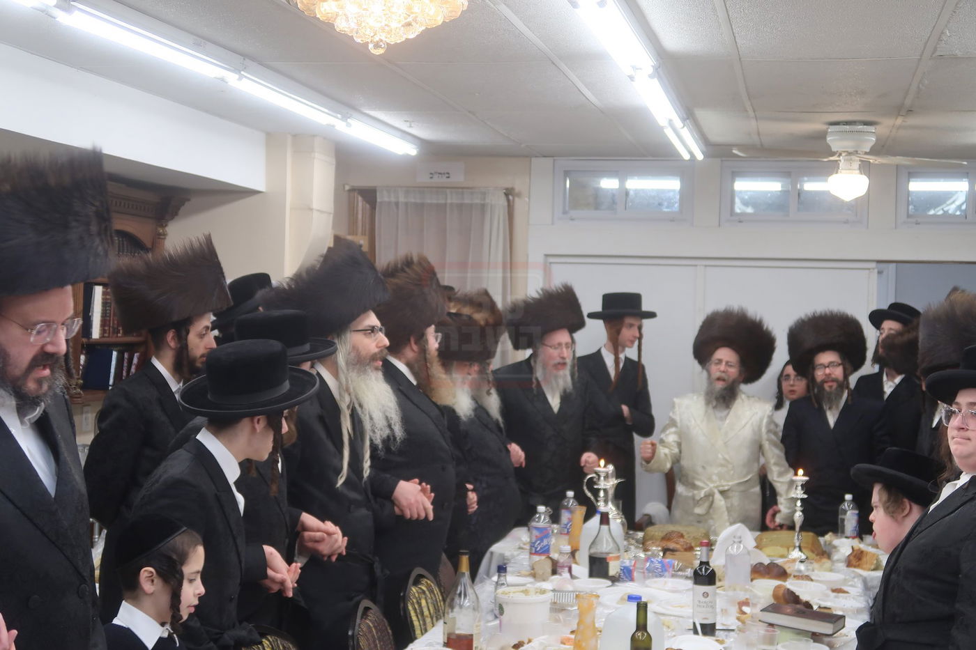 פורים בחצה"ק קרעטשניף סיגעט ווילאמסבורג