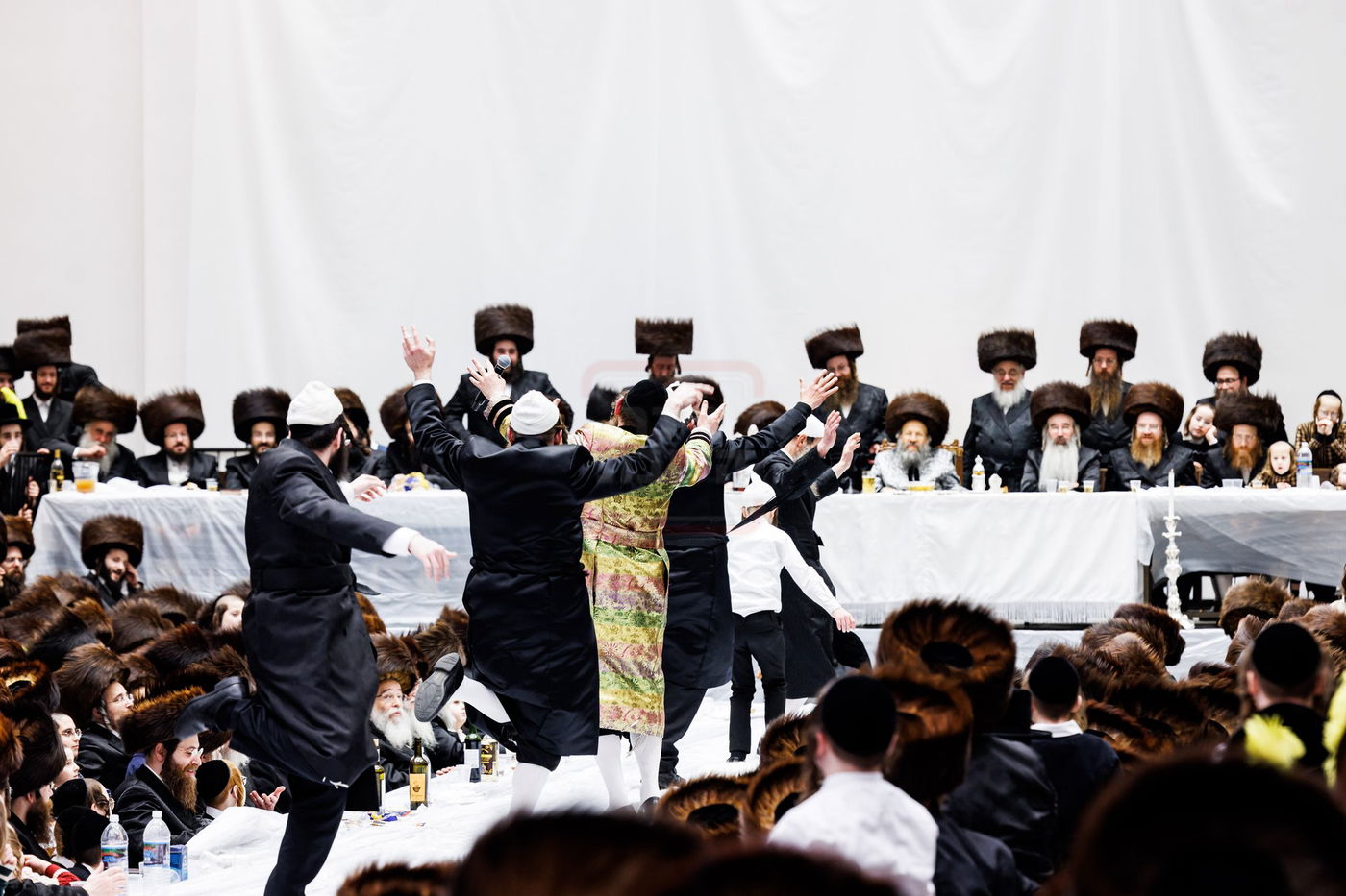 פורים בחצה"ק באבוב 45