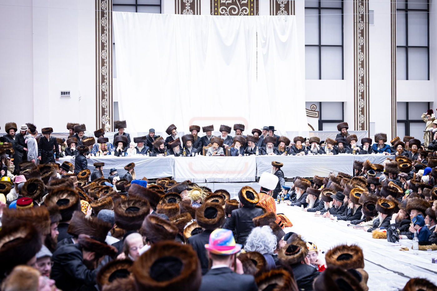 פורים בחצה"ק באבוב 45