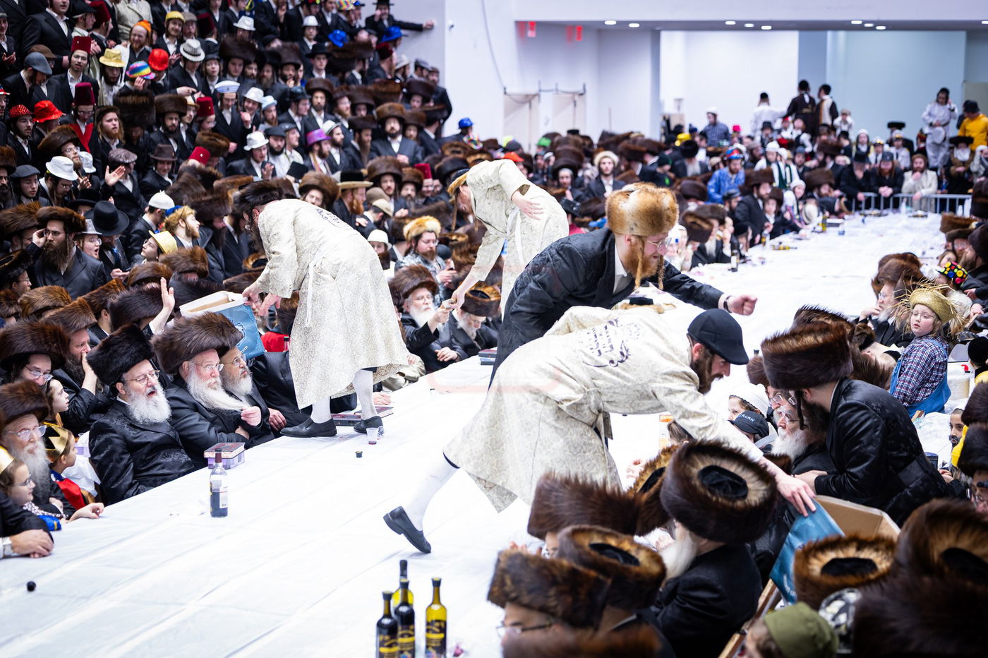 פורים בחצה"ק באבוב 45