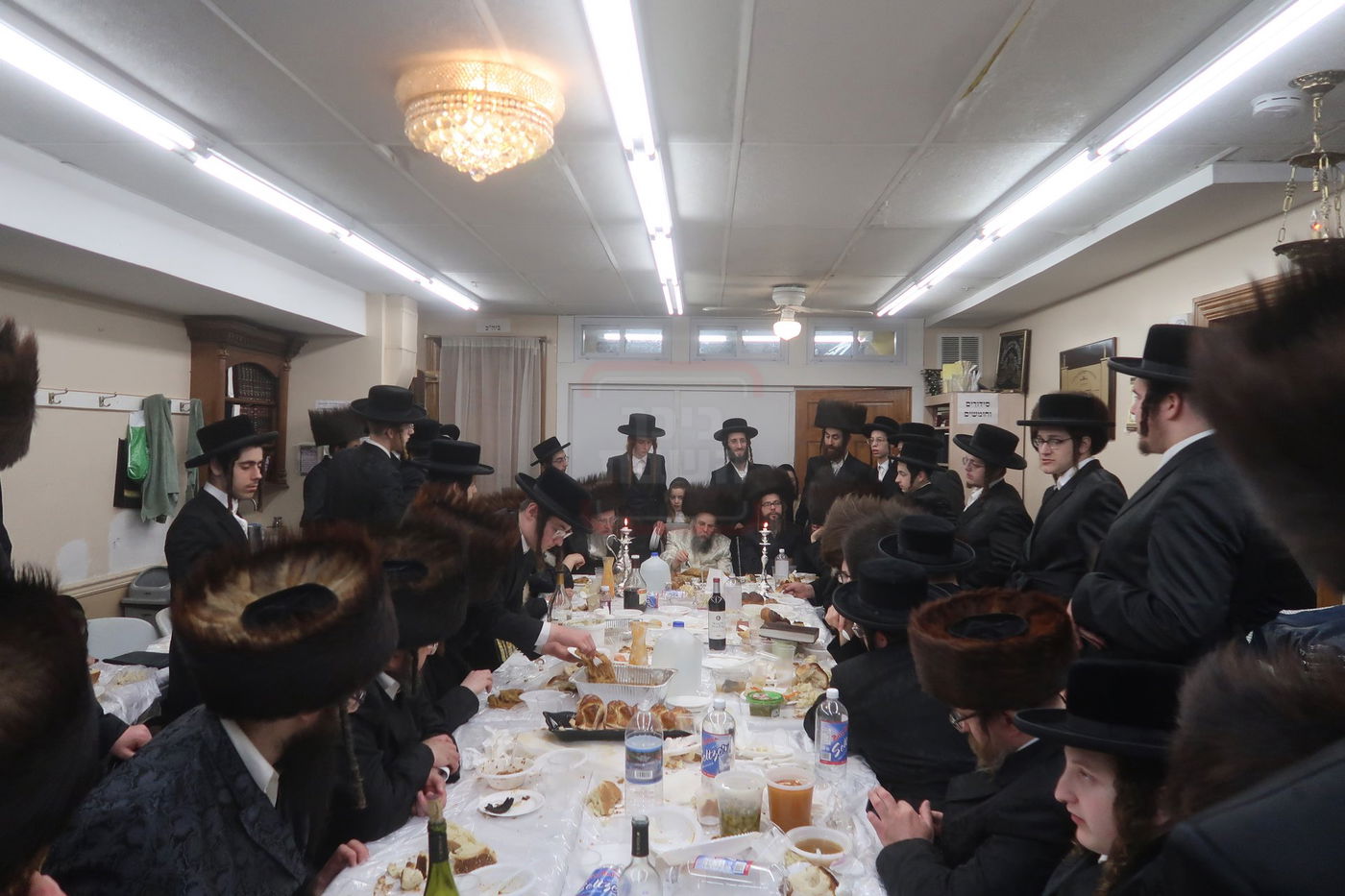 פורים בחצה"ק קרעטשניף סיגעט ווילאמסבורג