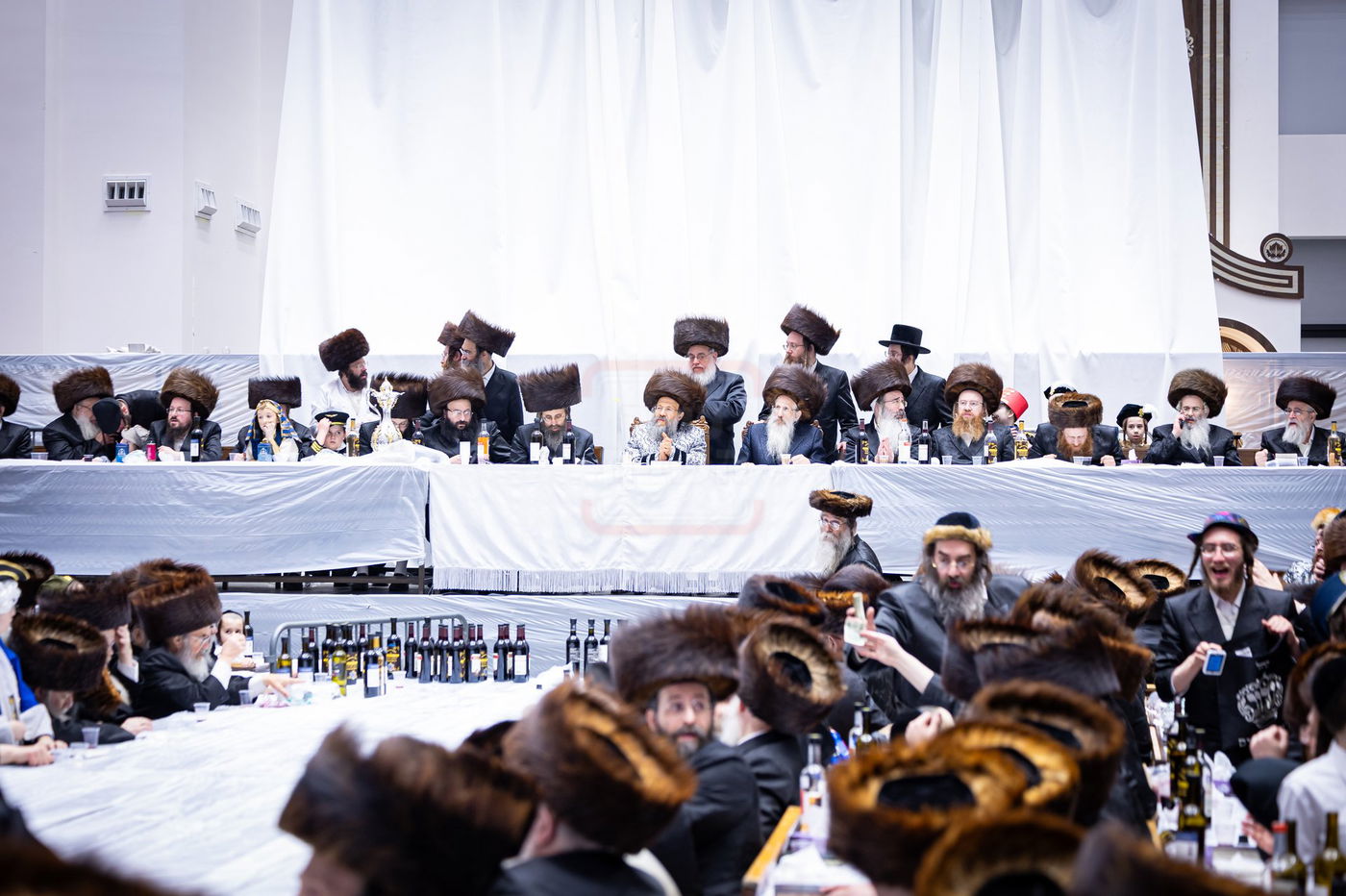 פורים בחצה"ק באבוב 45