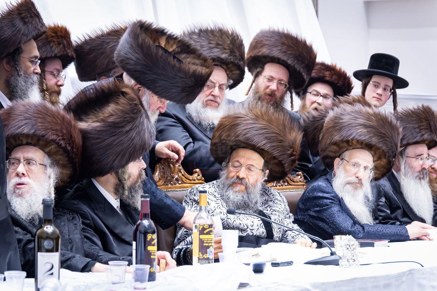 פורים בחצה"ק באבוב 45