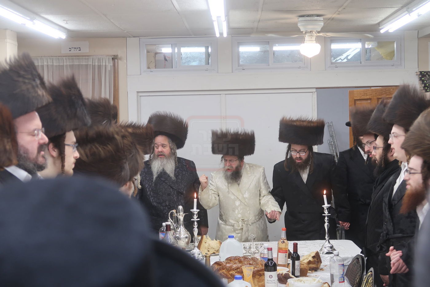 פורים בחצה"ק קרעטשניף סיגעט ווילאמסבורג