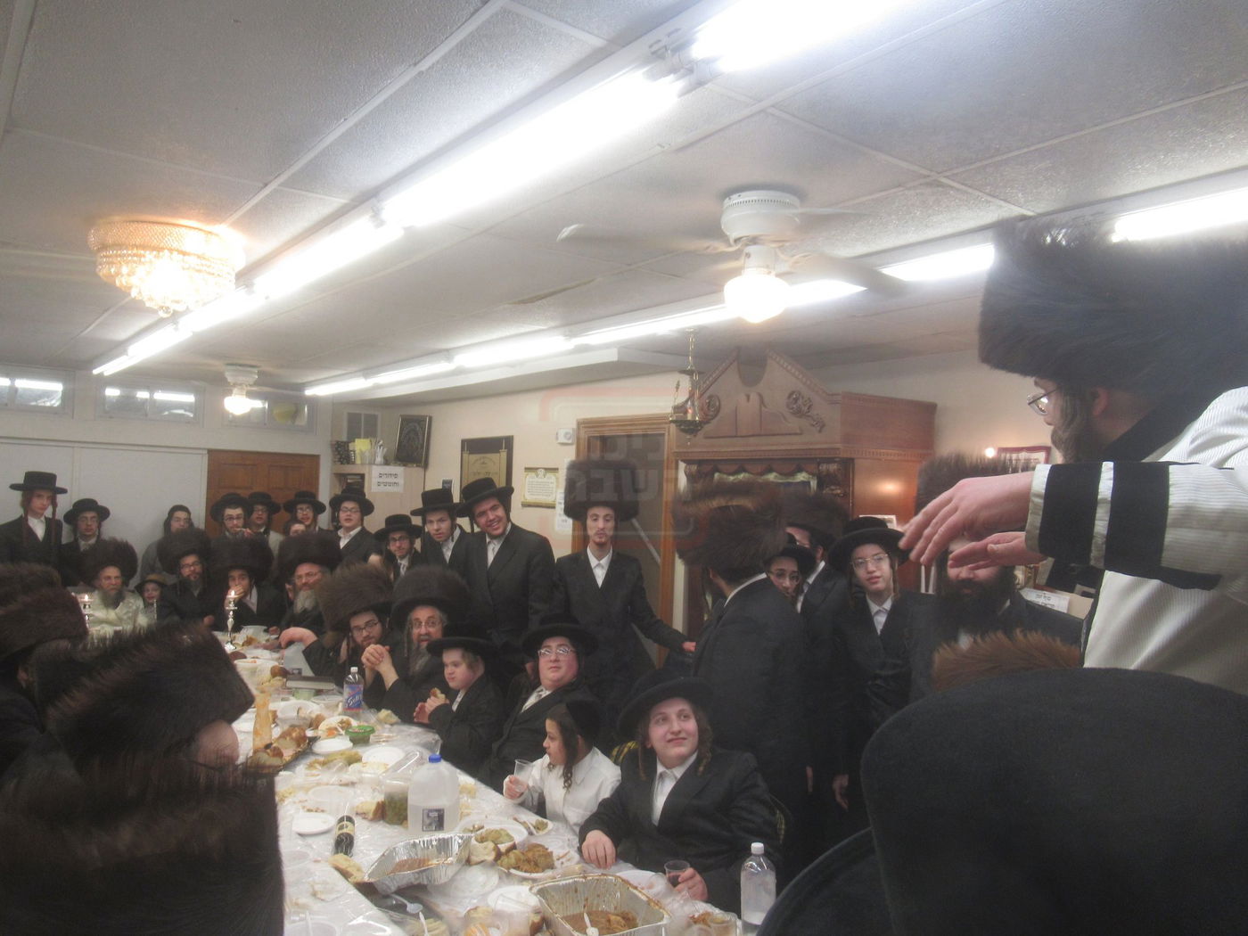 פורים בחצה"ק קרעטשניף סיגעט ווילאמסבורג