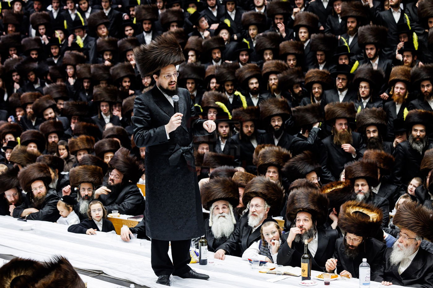 פורים בחצה"ק באבוב 45