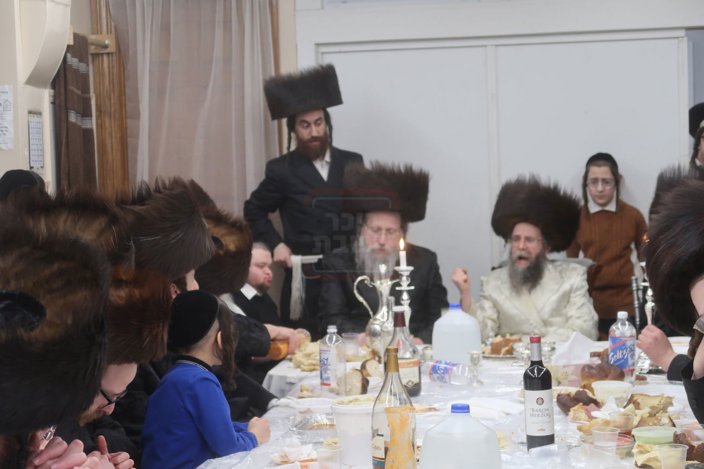 פורים בחצה"ק קרעטשניף סיגעט ווילאמסבורג