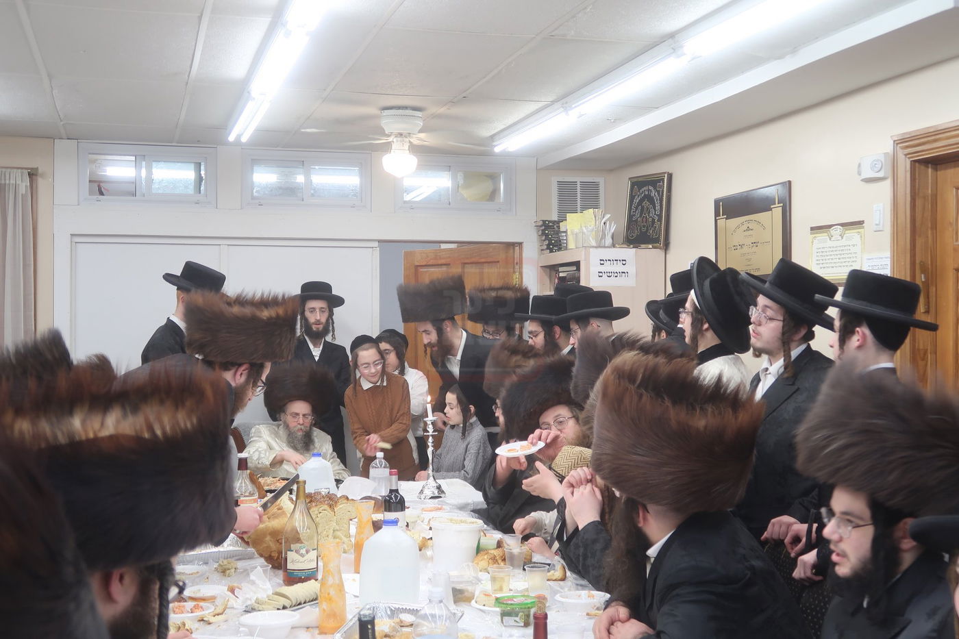 פורים בחצה"ק קרעטשניף סיגעט ווילאמסבורג