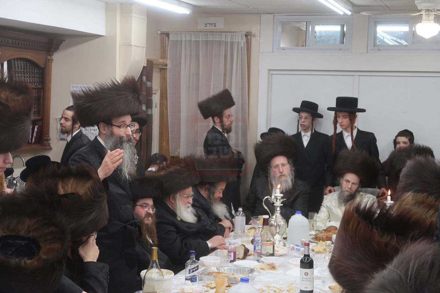 פורים בחצה"ק קרעטשניף סיגעט ווילאמסבורג