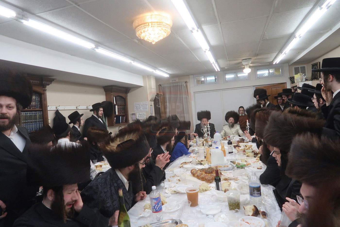 פורים בחצה"ק קרעטשניף סיגעט ווילאמסבורג