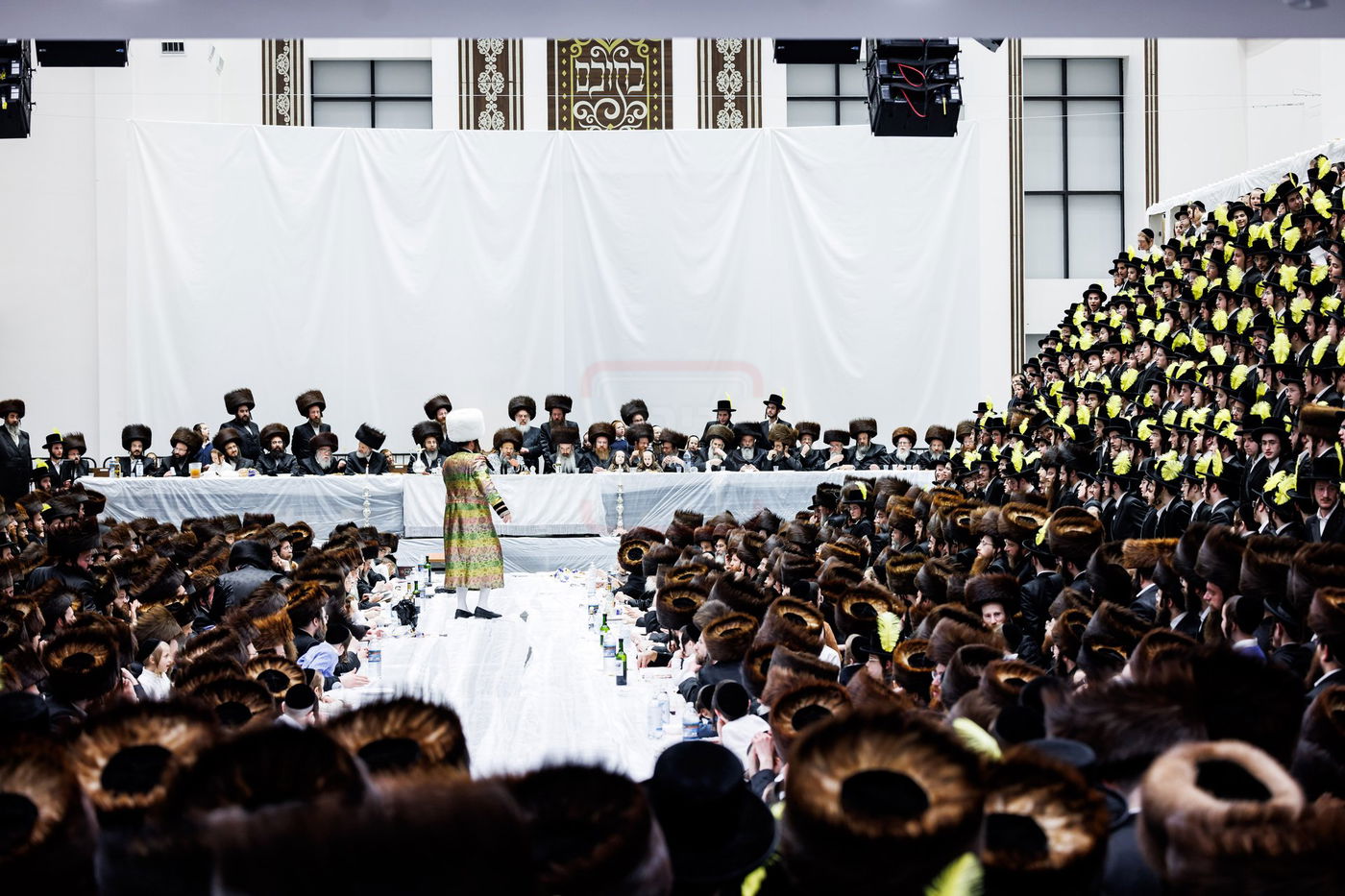 פורים בחצה"ק באבוב 45