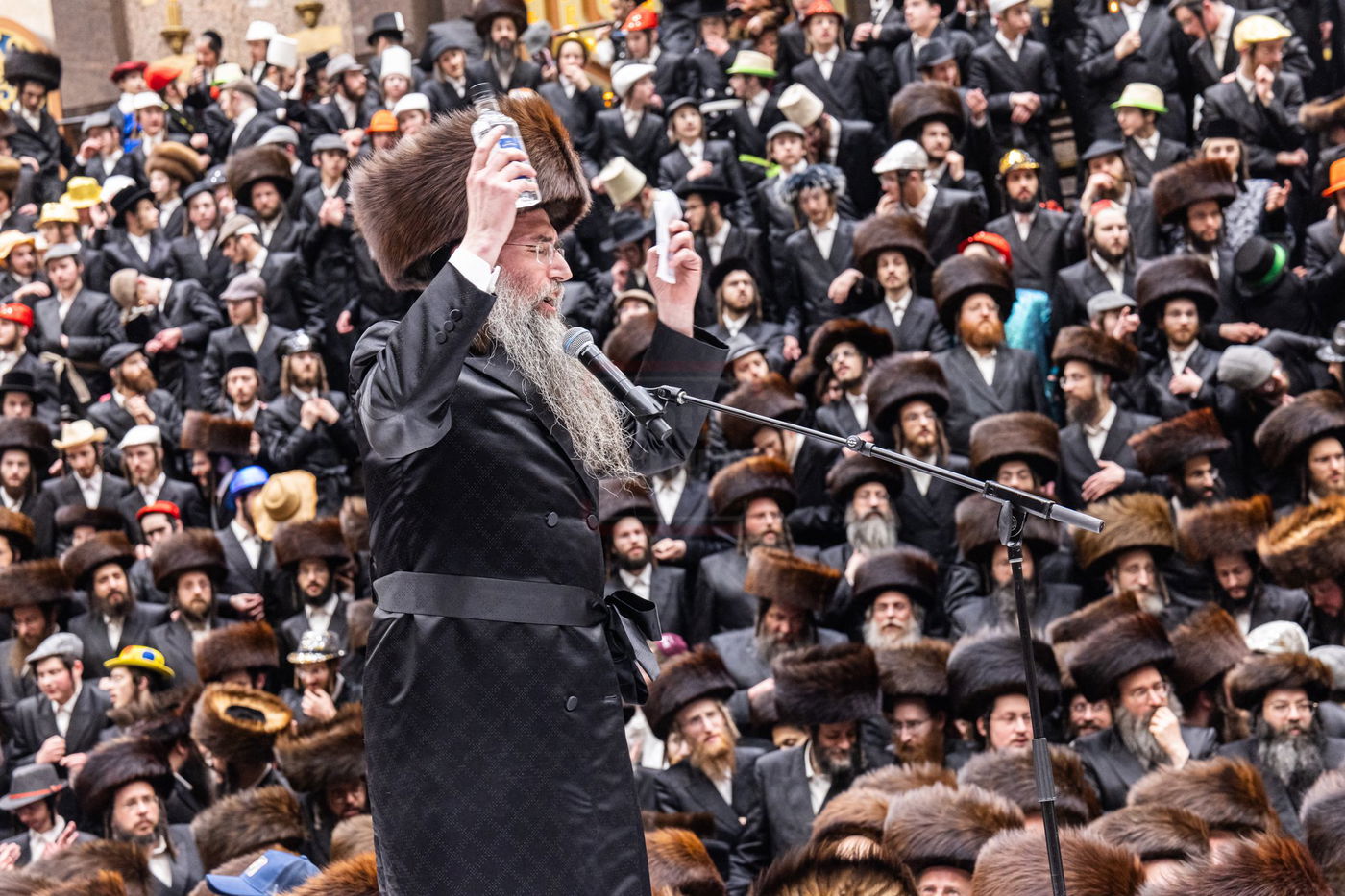 פורים בחצה"ק באבוב