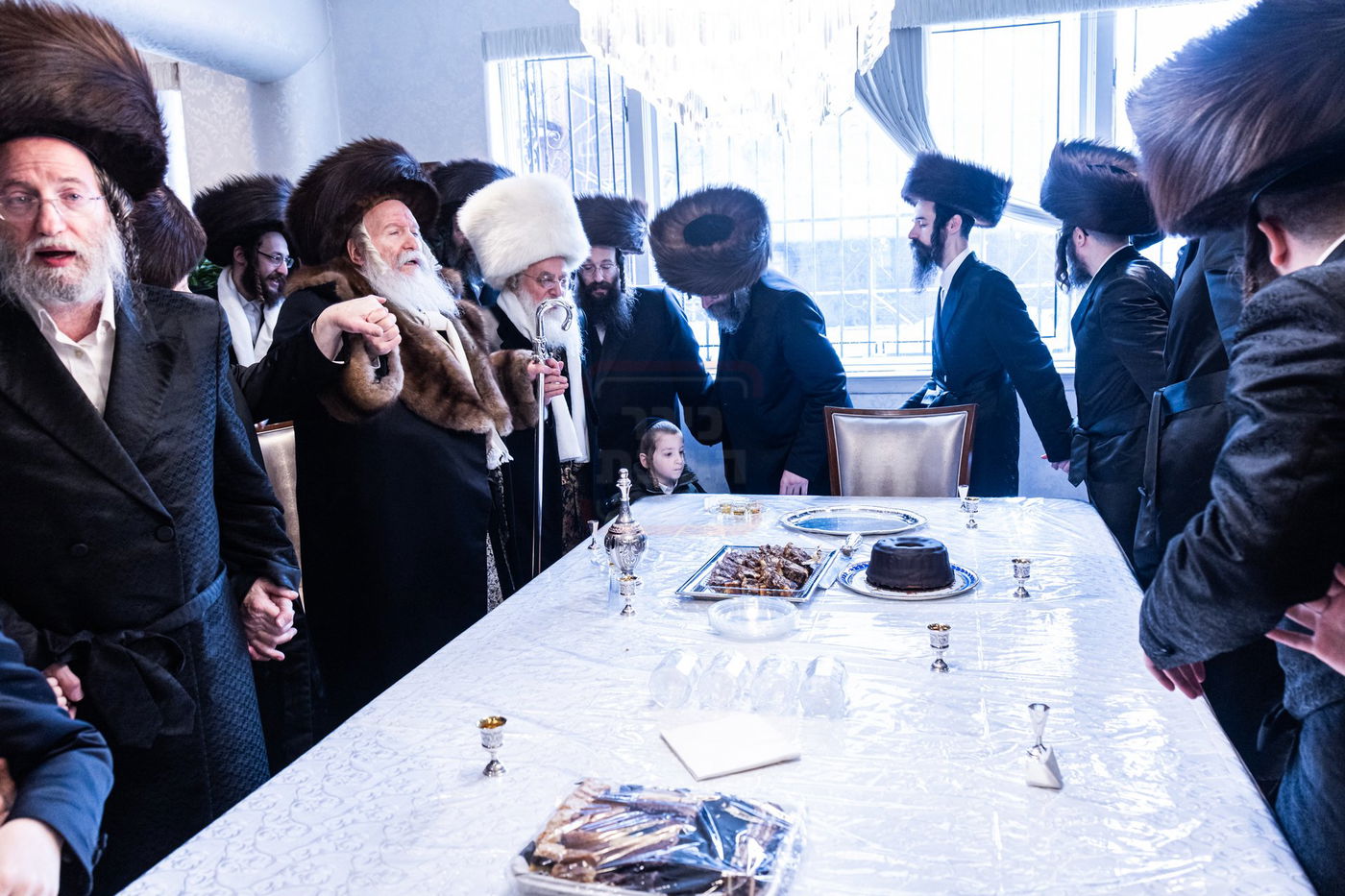 פורים בחצה"ק באבוב