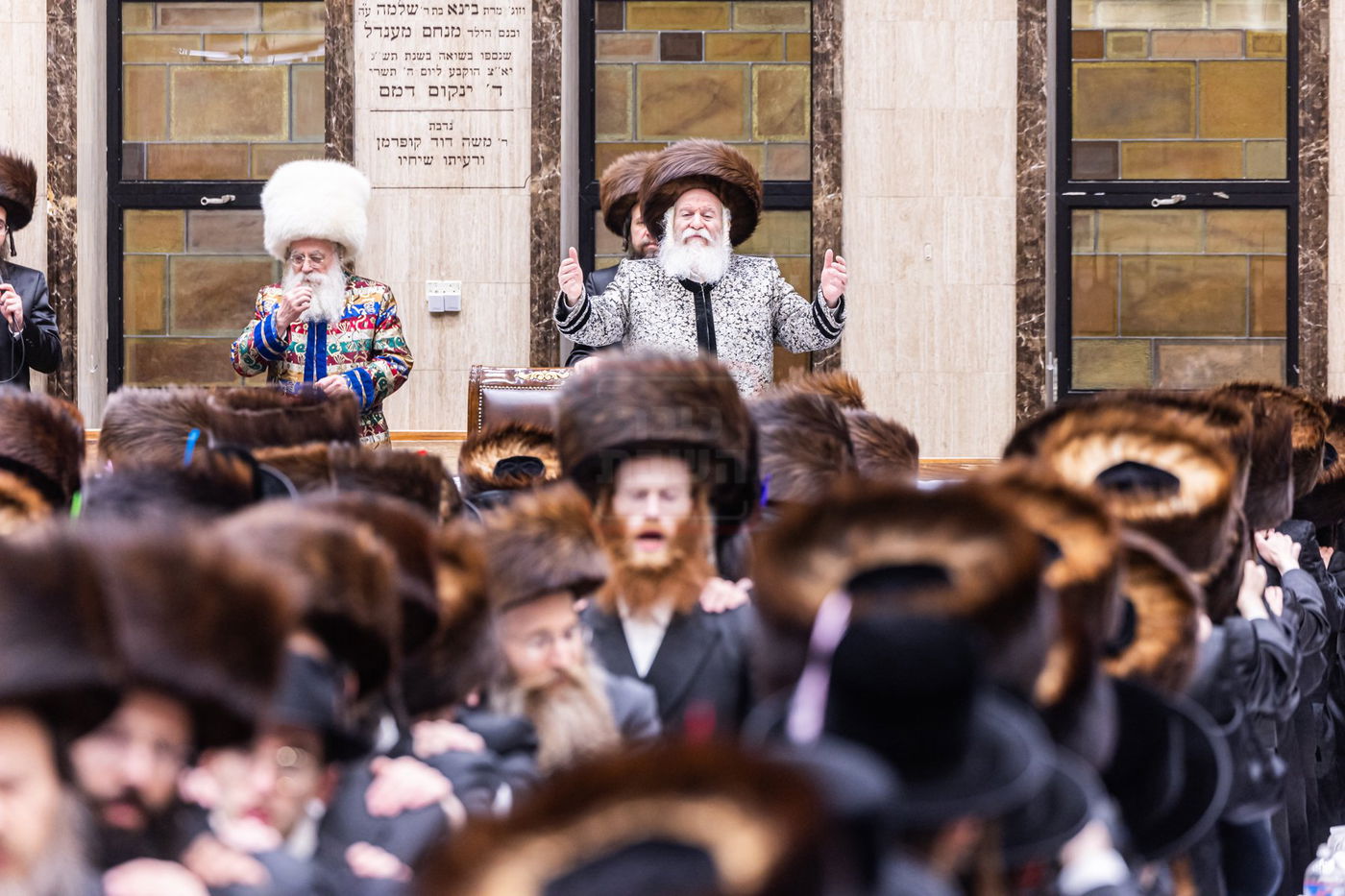 פורים בחצה"ק באבוב