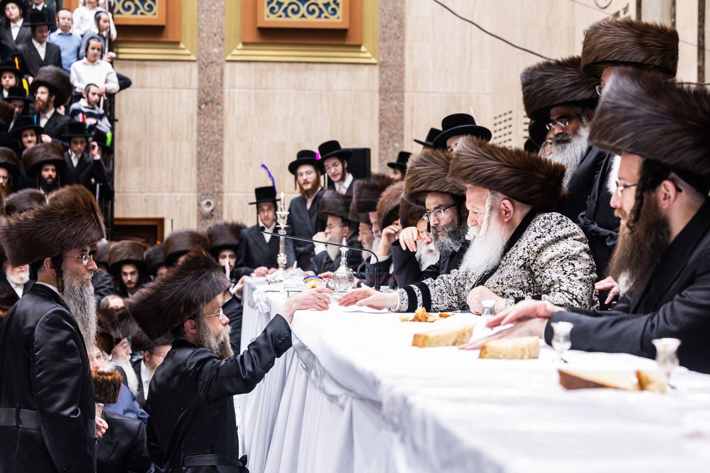 פורים בחצה"ק באבוב