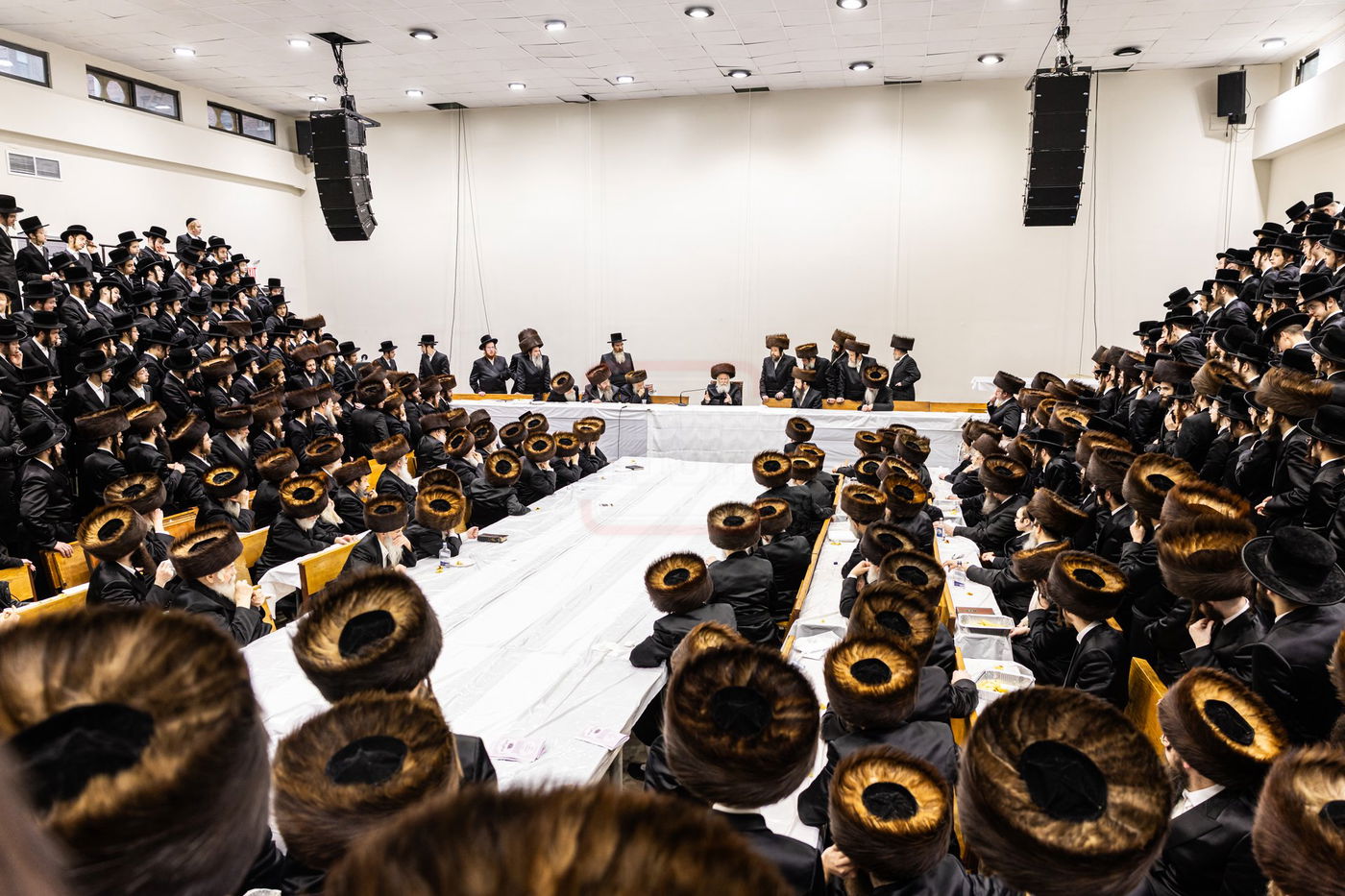 פורים בחצה"ק באבוב