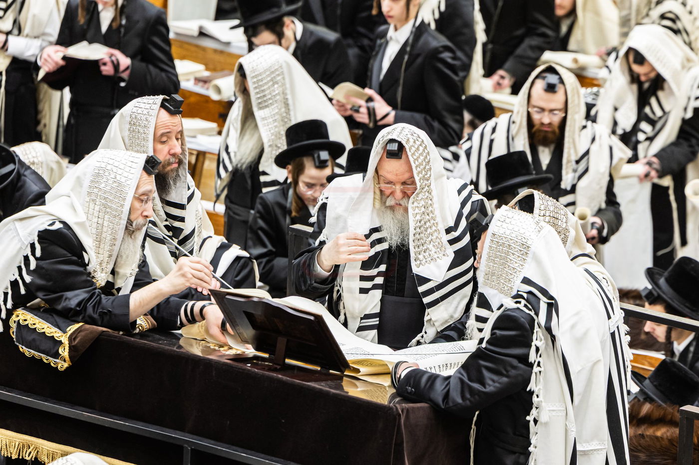 פורים בחצה"ק באבוב