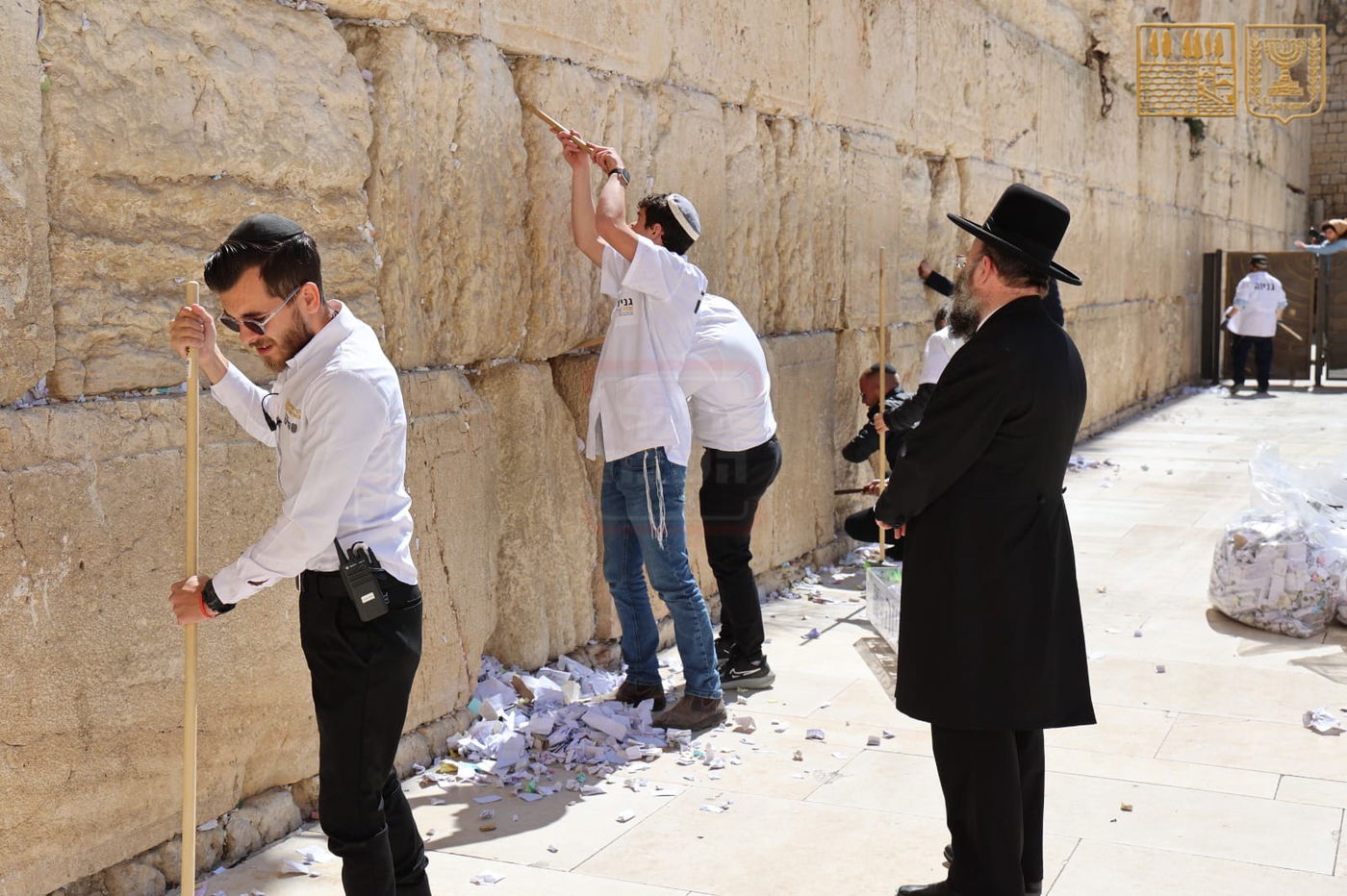 קרב הגבירים בנופש | 'זופניק בכיכר' עם כל התמונות, הנייעס והחשיפות של השבוע