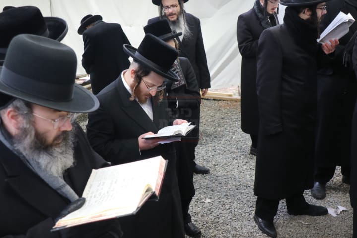 הילולא קדישא בסקולען