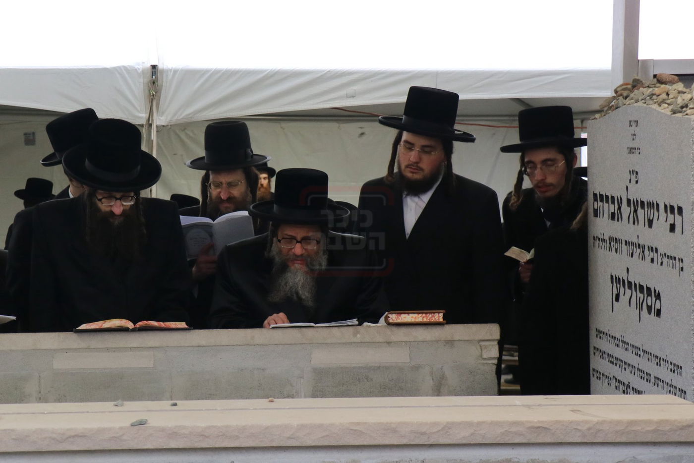 הילולא קדישא בסקולען